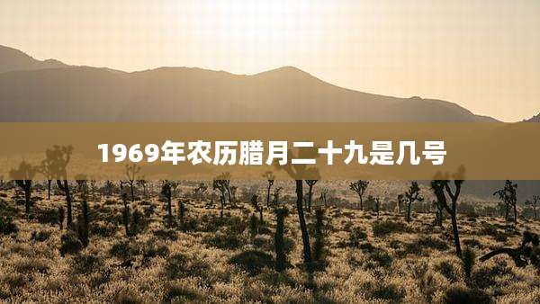 1969年农历腊月二十九是几号