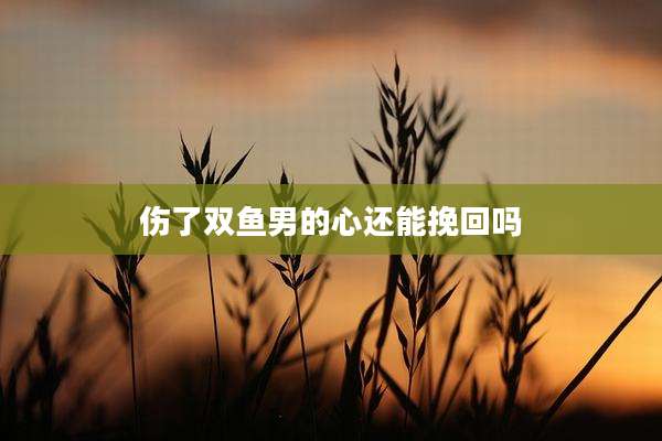 伤了双鱼男的心还能挽回吗