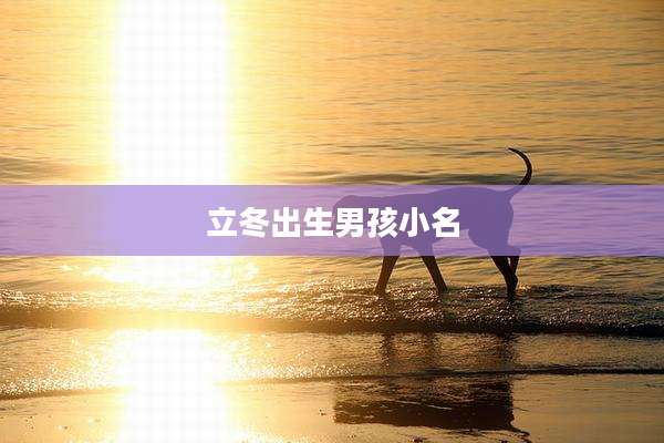 立冬出生男孩小名