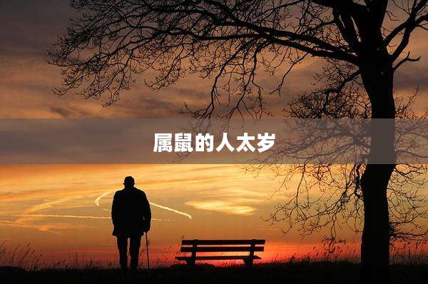属鼠的人太岁
