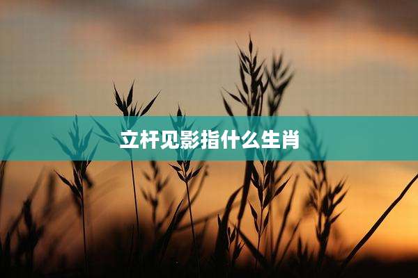 立杆见影指什么生肖