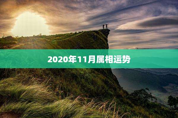2020年11月属相运势