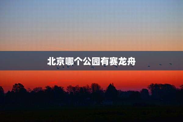 北京哪个公园有赛龙舟