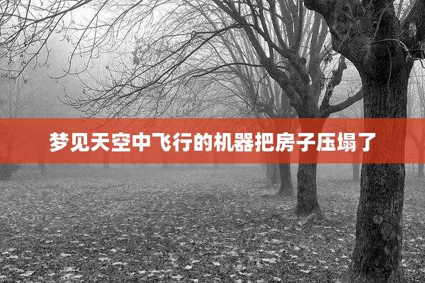 梦见天空中飞行的机器把房子压塌了