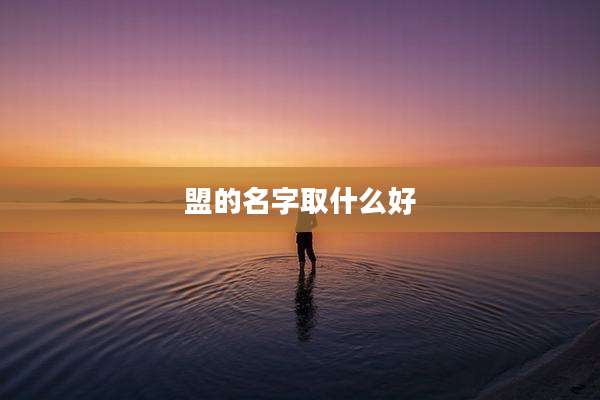 盟的名字取什么好