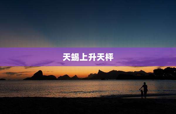 天蝎上升天枰