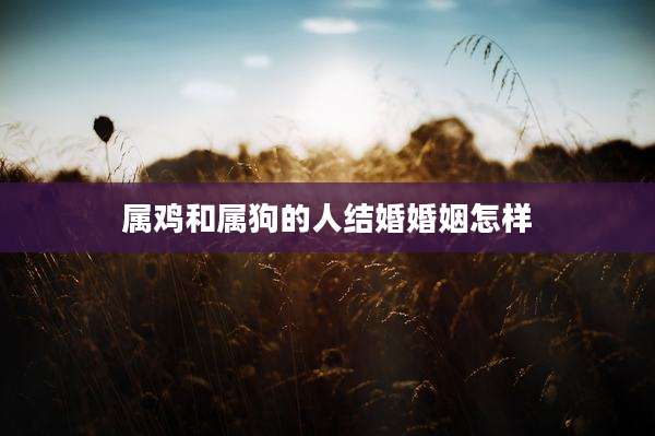 属鸡和属狗的人结婚婚姻怎样