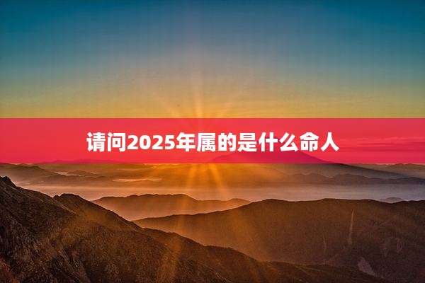 请问2025年属的是什么命人