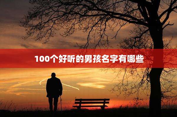100个好听的男孩名字有哪些