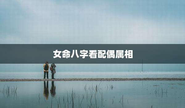 女命八字看配偶属相