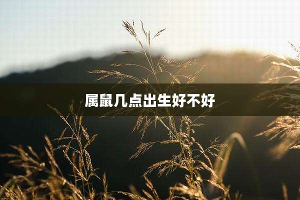 属鼠几点出生好不好