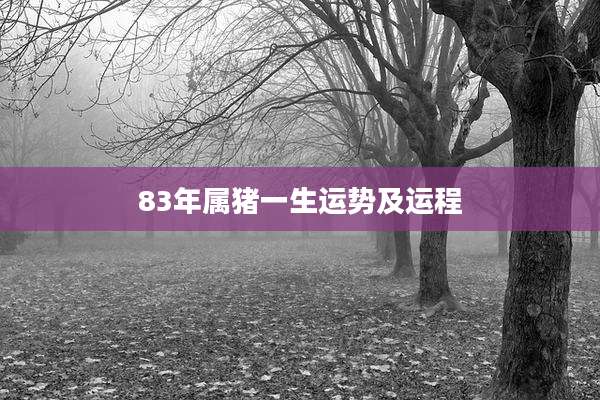 83年属猪一生运势及运程