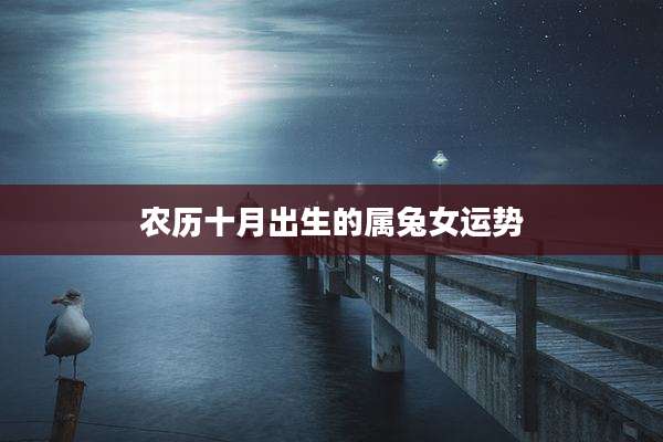 农历十月出生的属兔女运势