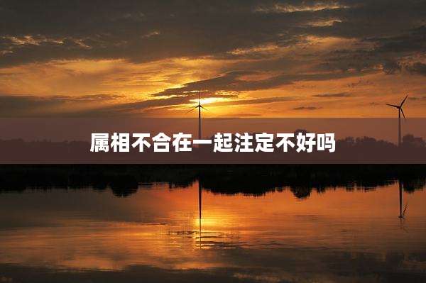 属相不合在一起注定不好吗