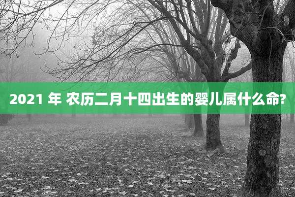 2021 年 农历二月十四出生的婴儿属什么命?