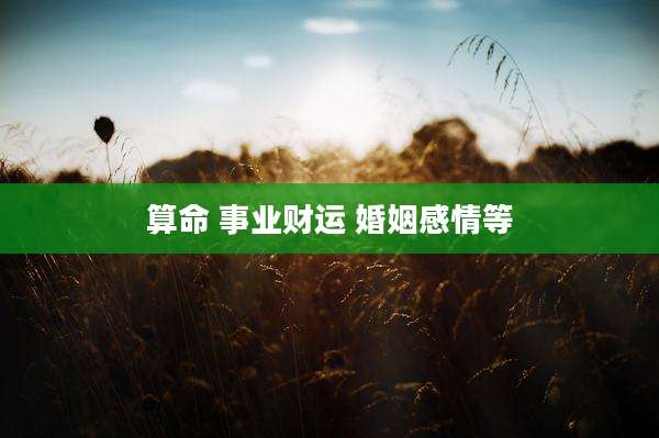 算命 事业财运 婚姻感情等