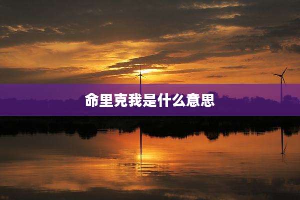 命里克我是什么意思