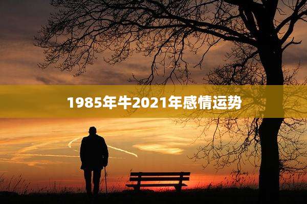 1985年牛2021年感情运势