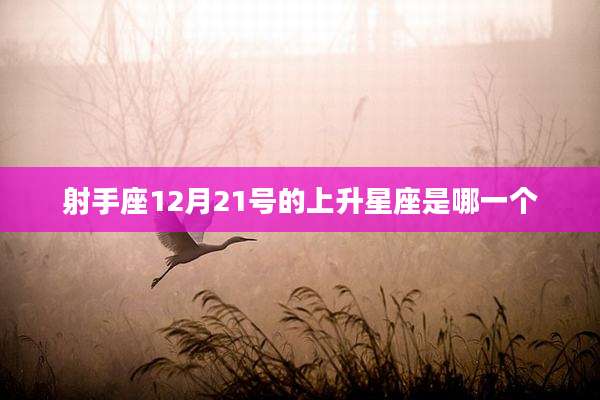 射手座12月21号的上升星座是哪一个