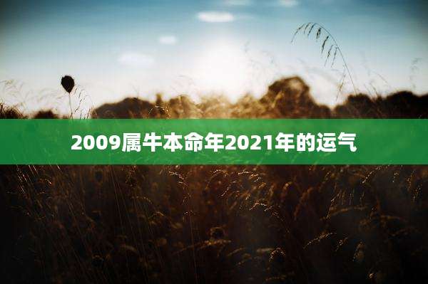 2009属牛本命年2021年的运气