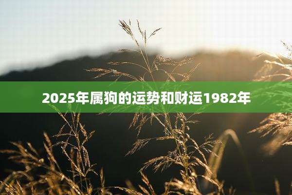 2025年属狗的运势和财运1982年