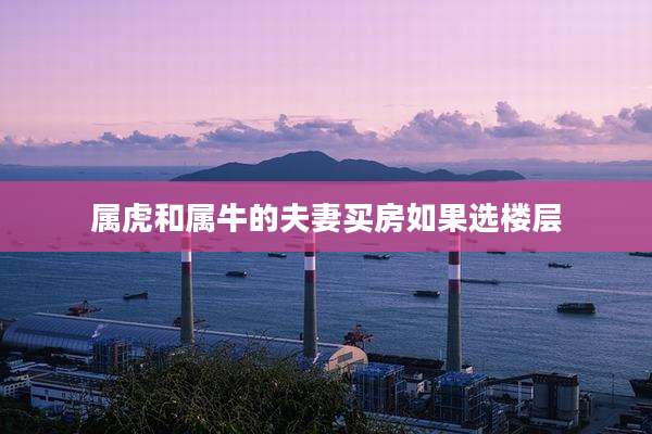 属虎和属牛的夫妻买房如果选楼层