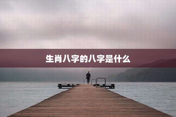 生肖八字的八字是什么