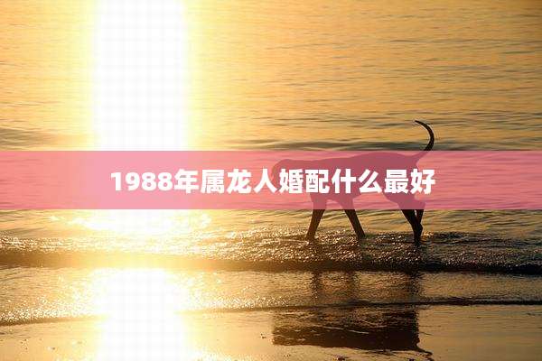 1988年属龙人婚配什么最好