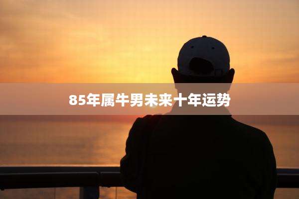 85年属牛男未来十年运势