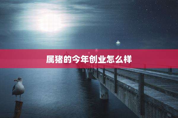 属猪的今年创业怎么样
