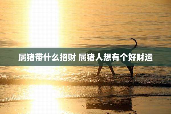 属猪带什么招财 属猪人想有个好财运