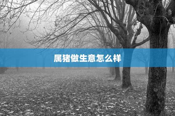 属猪做生意怎么样