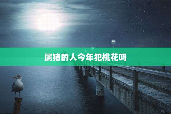 属猪的人今年犯桃花吗