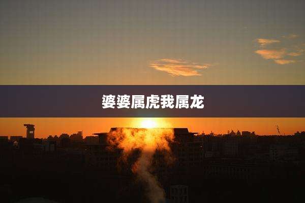 婆婆属虎我属龙