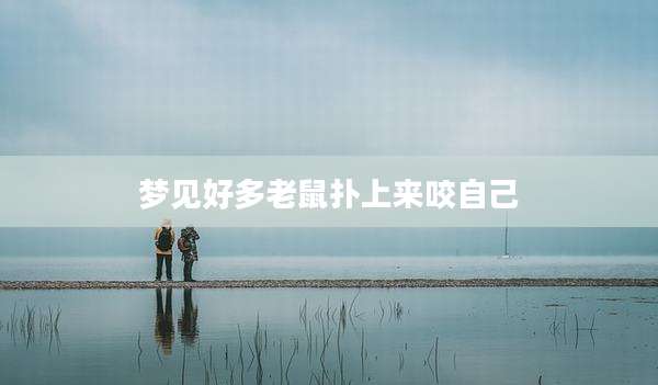 梦见好多老鼠扑上来咬自己