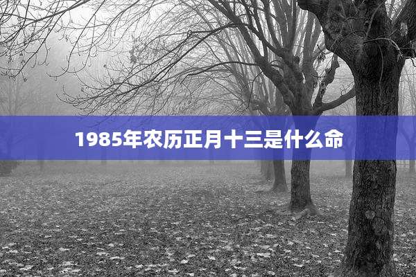 1985年农历正月十三是什么命