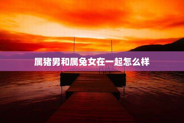 属猪男和属兔女在一起怎么样