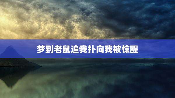 梦到老鼠追我扑向我被惊醒