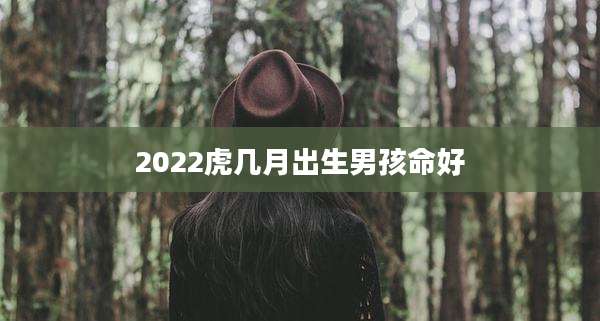 2022虎几月出生男孩命好