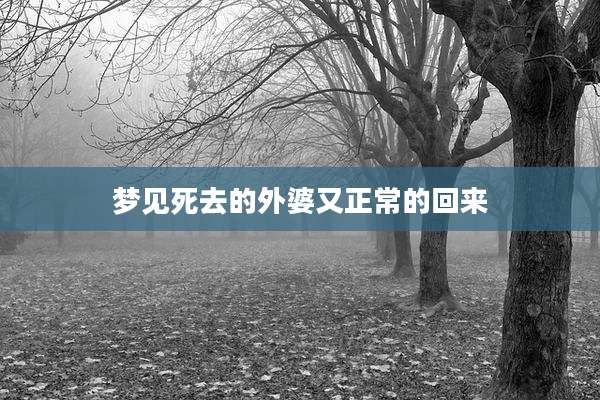 梦见死去的外婆又正常的回来