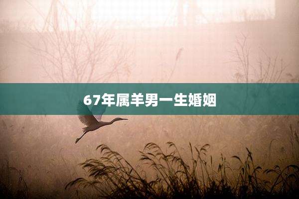 67年属羊男一生婚姻