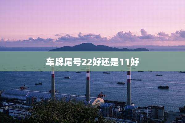 车牌尾号22好还是11好