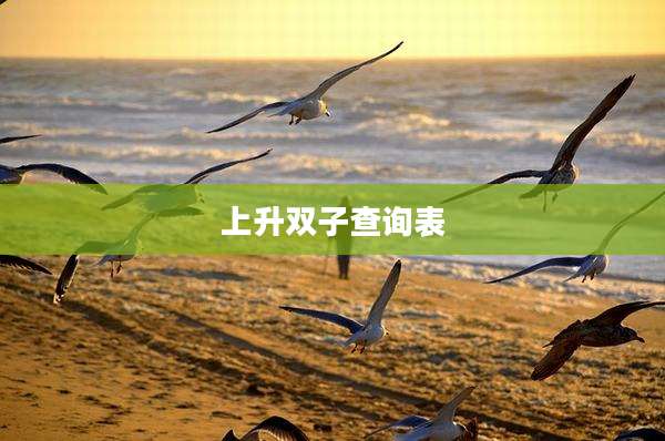 上升双子查询表