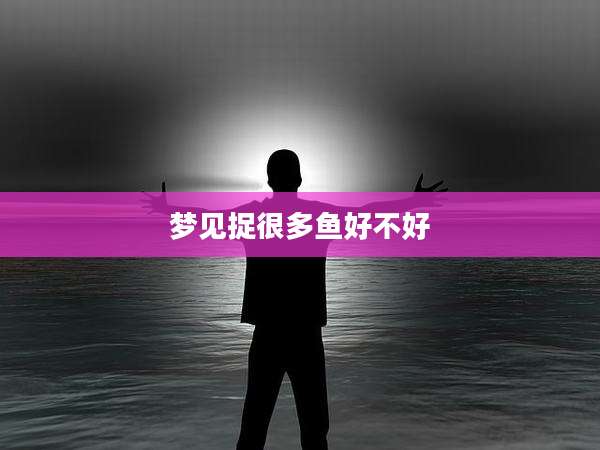 梦见捉很多鱼好不好