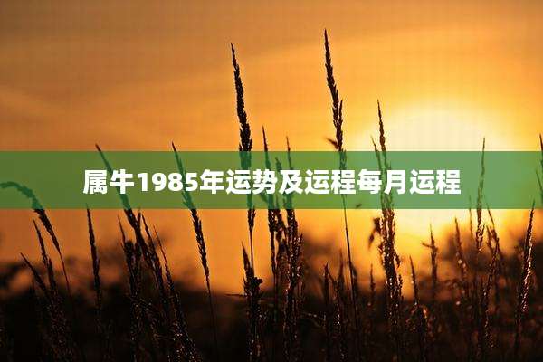 属牛1985年运势及运程每月运程
