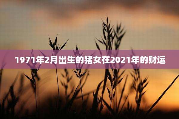 1971年2月出生的猪女在2021年的财运