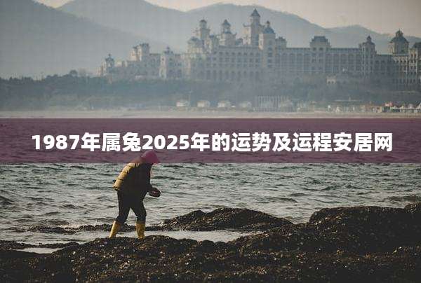 1987年属兔2025年的运势及运程安居网