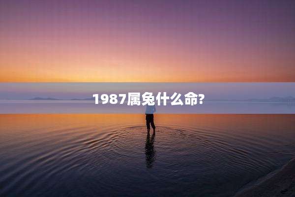1987属兔什么命?