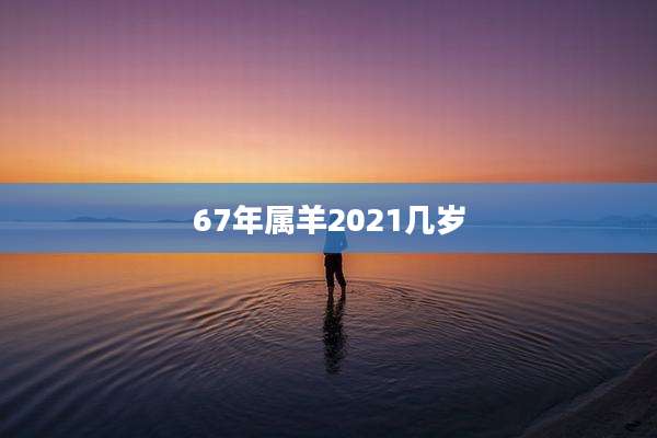 67年属羊2021几岁