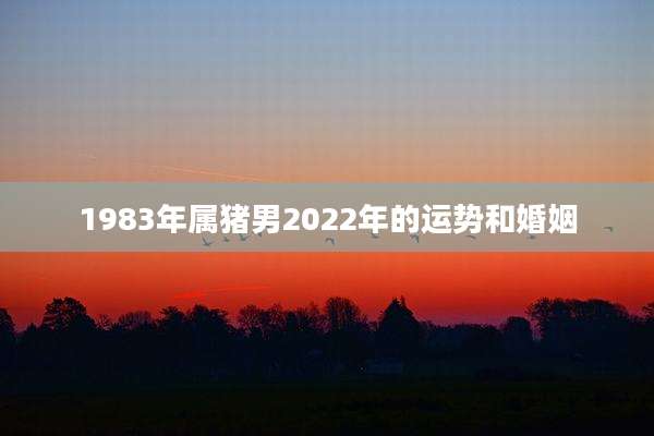 1983年属猪男2022年的运势和婚姻
